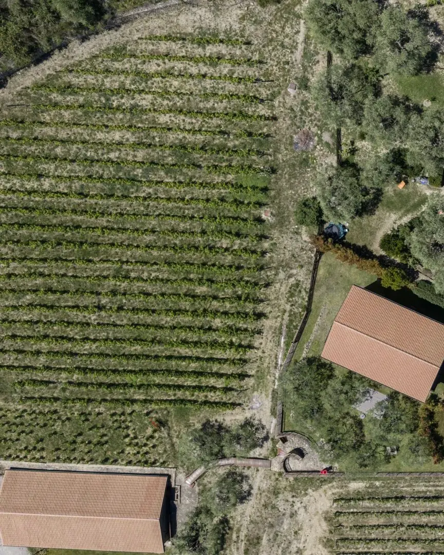 Premier Vineyard Estate and Turn-Key Winery in Dolceacqua